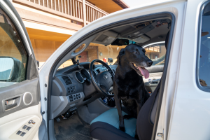 Why_Drivers_Love_the_2021_Toyota_Tacoma_Salisbury_NC_Cloninger_Toyota