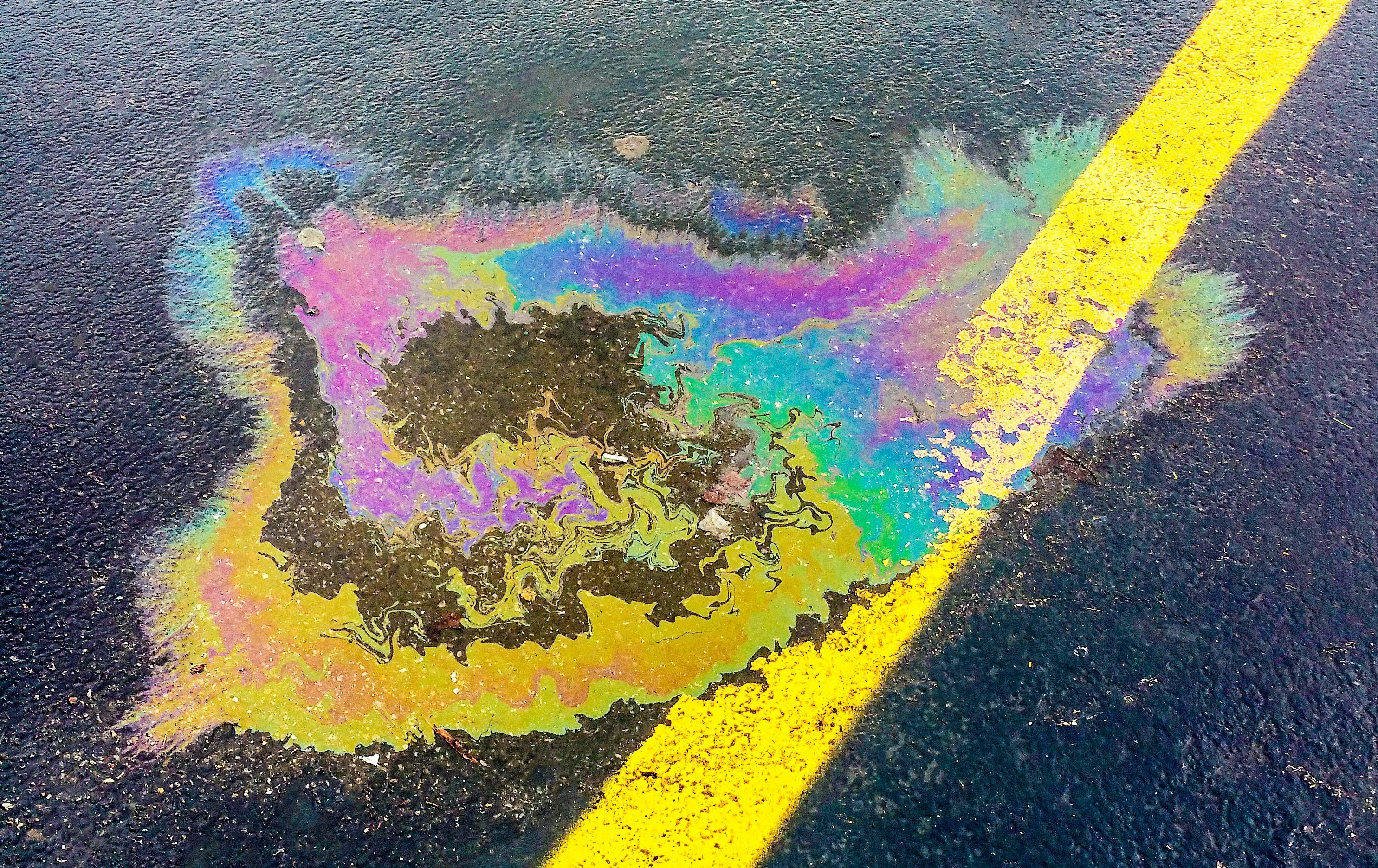 Photo by Dave Morgan