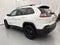 2023 Jeep Cherokee Altitude