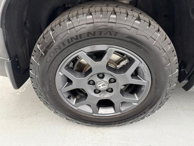 2026 Honda Pilot TrailSport