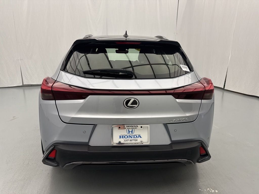 2024 Lexus UX 250h F SPORT Handling