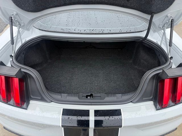 2017 Ford Mustang Shelby GT350