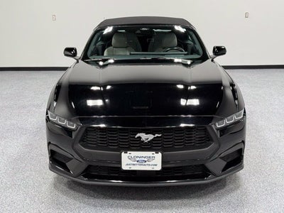2024 Ford Mustang EcoBoost Premium