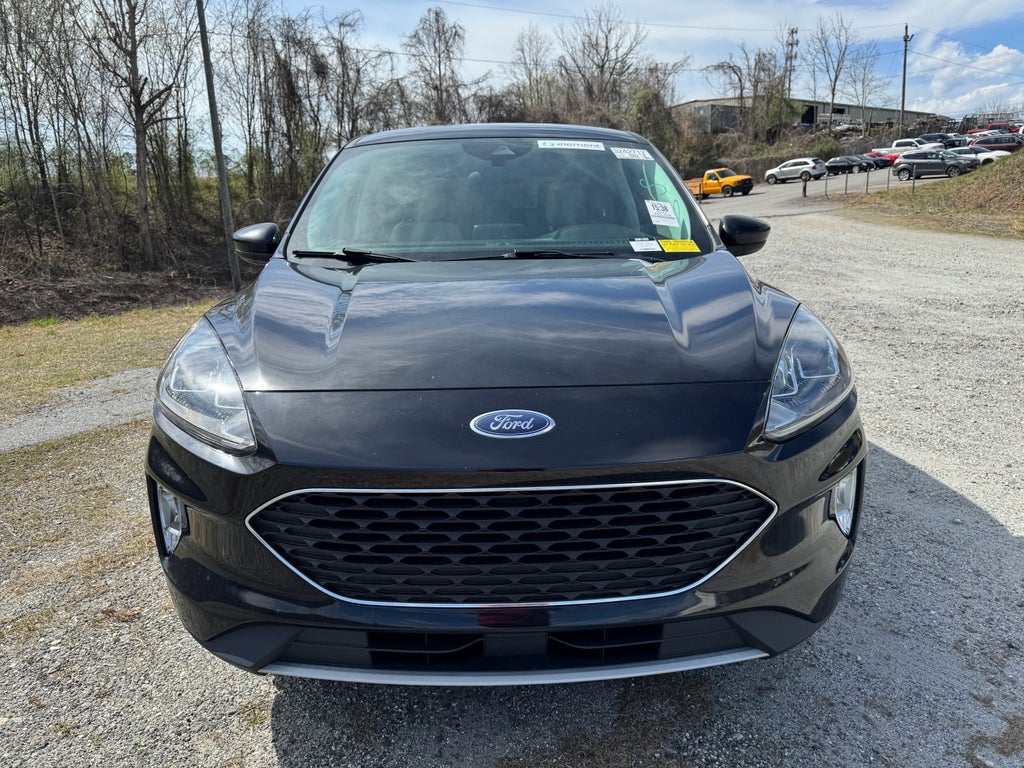 2022 Ford Escape Hybrid SEL Hybrid