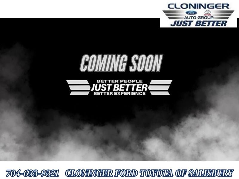 2020 Ford F-250 Platinum