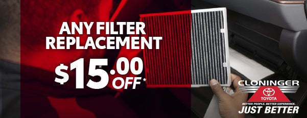 $15.00 OFF* ANY FILTER REPLACEMENT